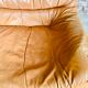 Leather and wood lounge of the Maison Regain 1950s/60s