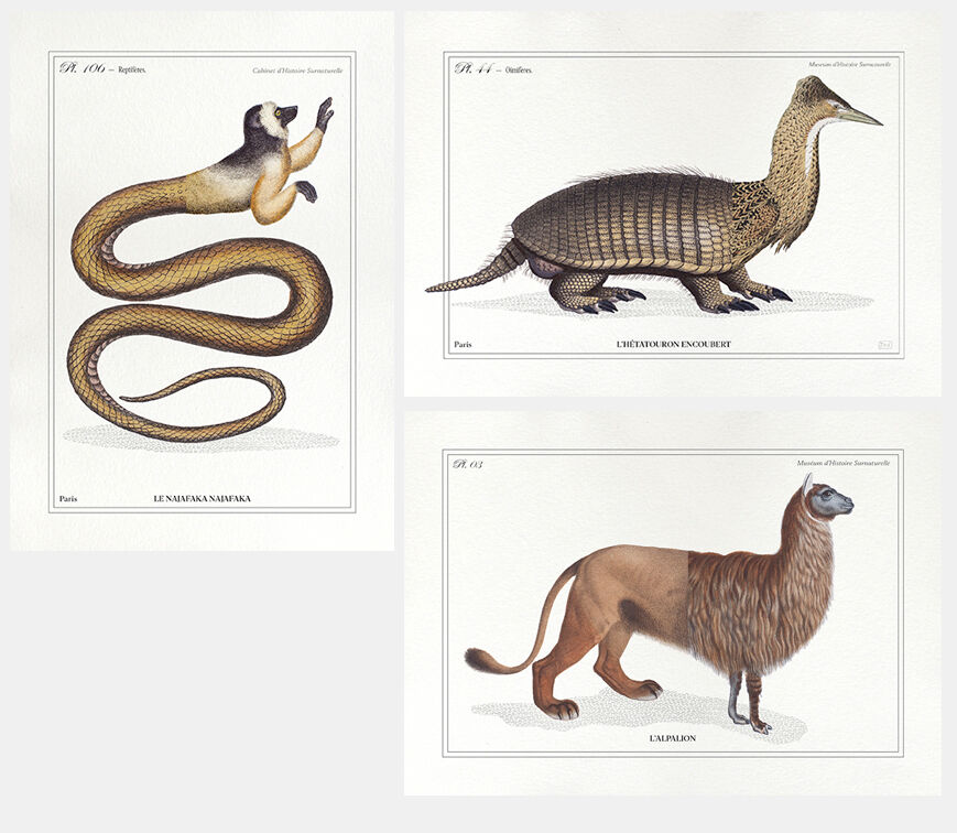 Set of 3 chimeras lithography animal engraving