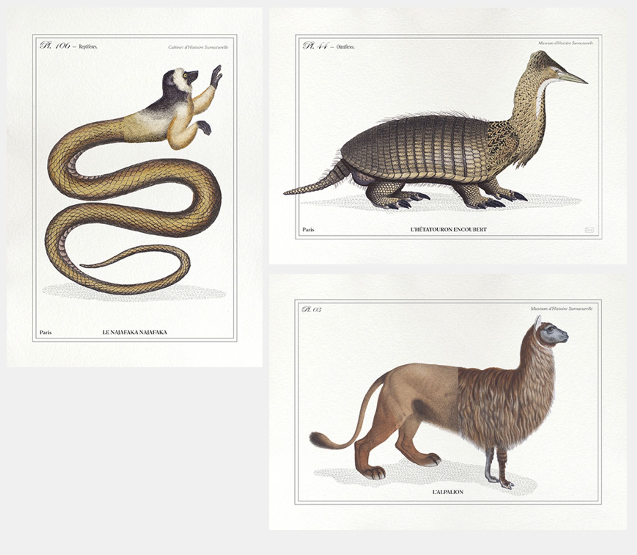 Set of 3 chimeras lithography animal engraving