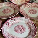 Five plates of earthenware from Pexonne 19th service "flowers"