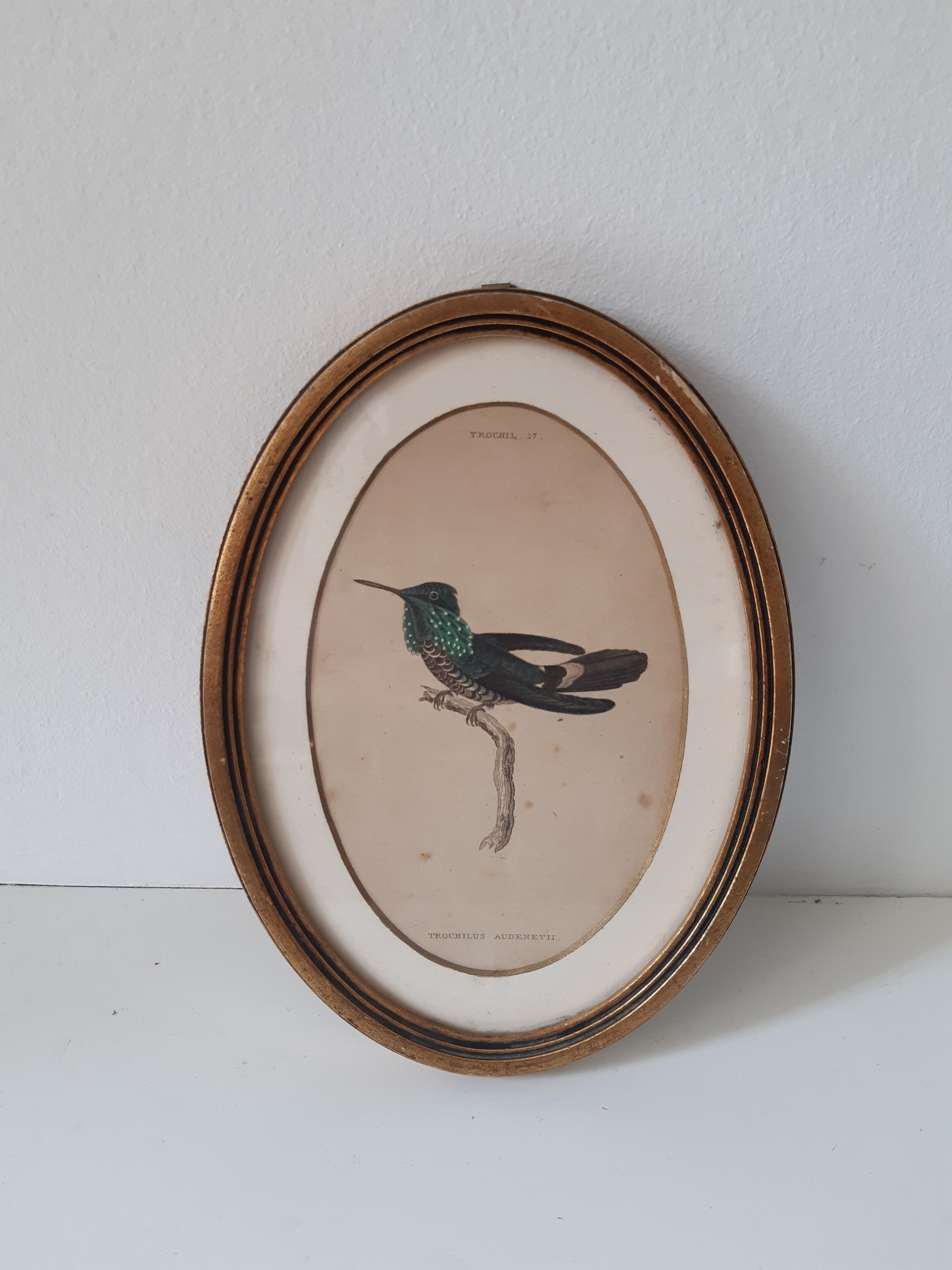 Vintage frame
