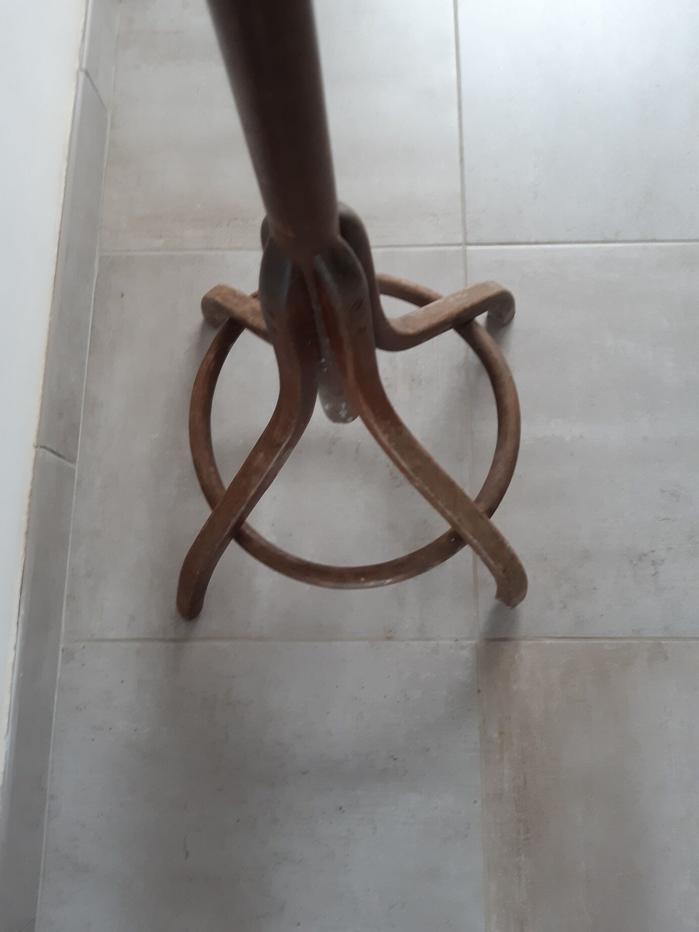 Old parrot coat rack