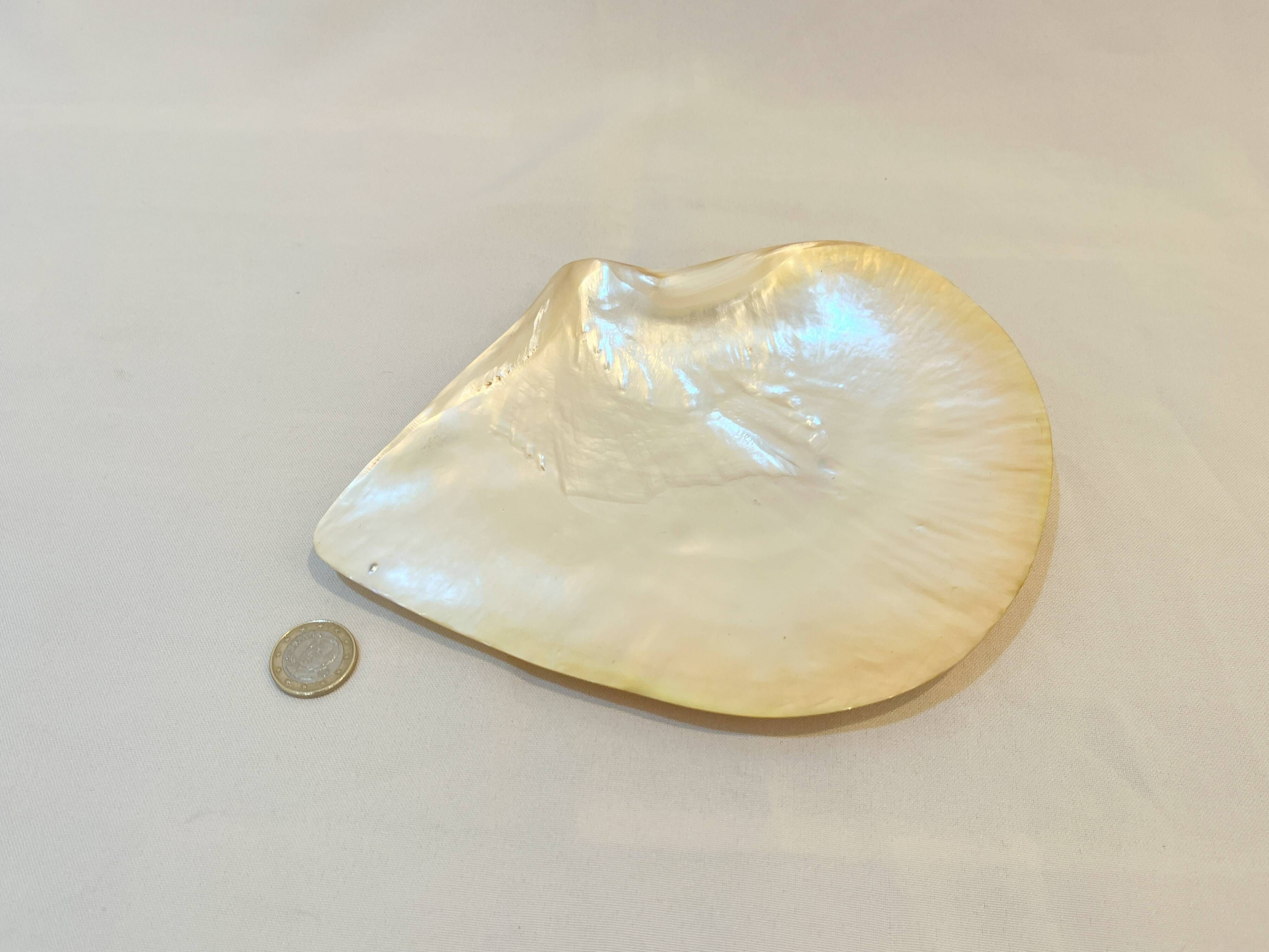 Large mother-of-pearl oyster natural pearl trinket dish from the 70s