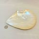 Large mother-of-pearl oyster natural pearl trinket dish from the 70s