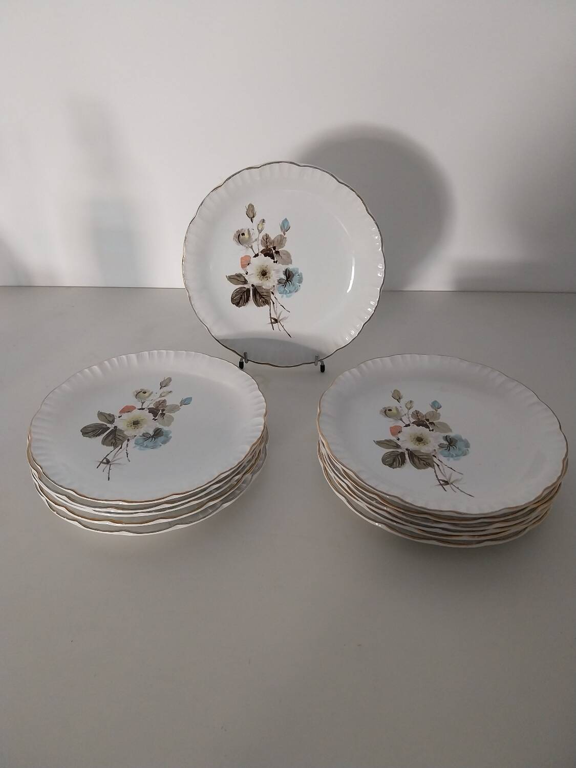 12 Digoin Sarreguemines dinner plates