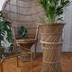 Door plant rattan peacock