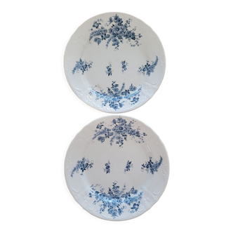 decorative English plates