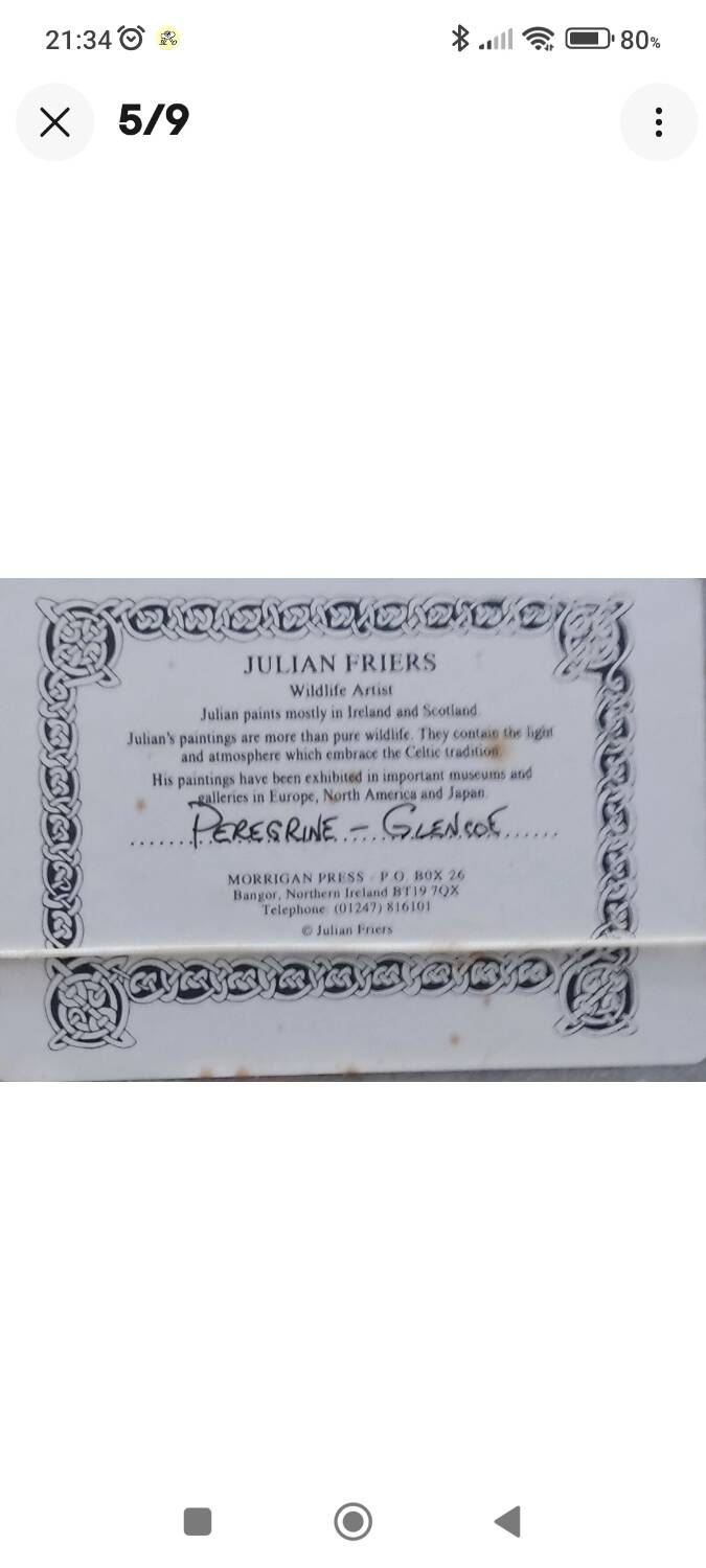 Lithograph Julian Friers – Peregrine Falcon at Glencoe – Framed painting