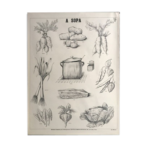 A sopa - affiche pédagogique