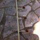 Vintage metal and wood coat rack