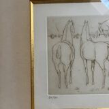 Chevaux P. De Chabot
