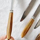 Coffret ancien avec 12 couteaux en acier inoxydable et manches en bois de cerf des années 70