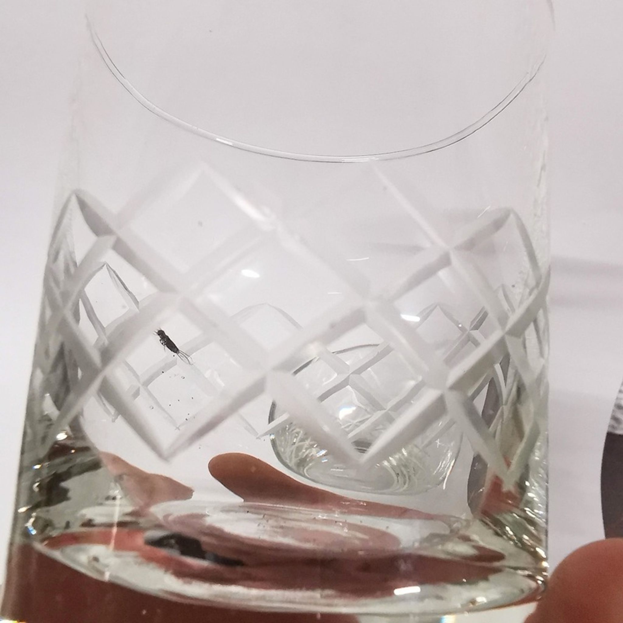 Pair of crystal whiskey glasses