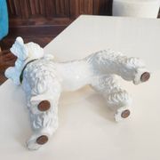 Mid-century poodle