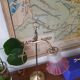 Old lamp to lay in gilded brass, arms collar of articulated swan