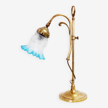 Brass swan neck lamp