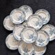 13 Longwy Azaleas dinner plates
