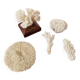 Lot of 5 corals