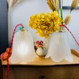 Walking lamp or suspension opaque globe shape of Art Deco flower