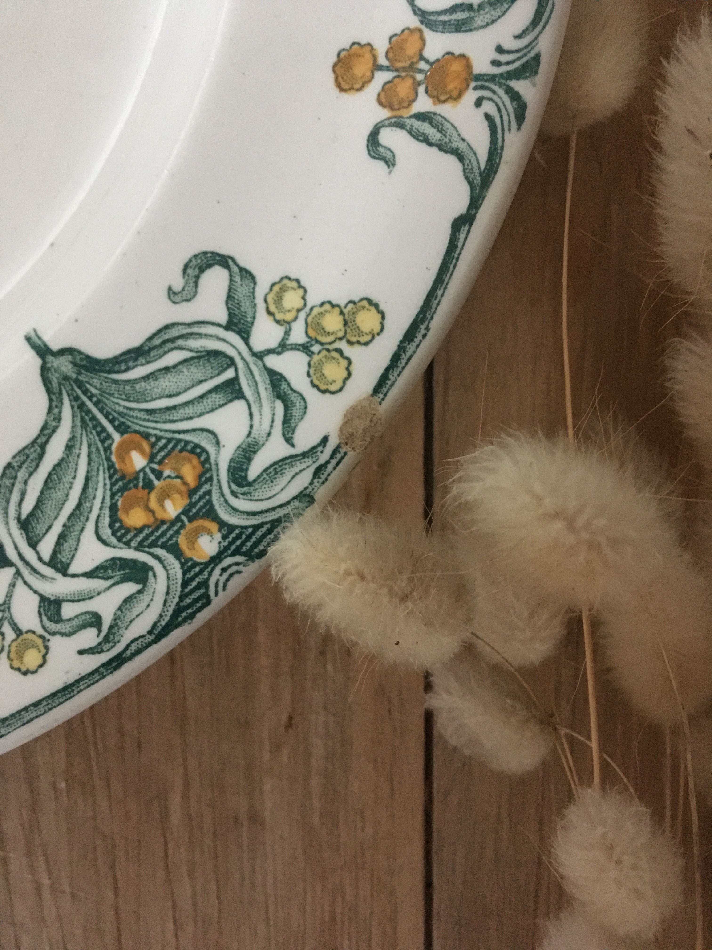 Assiettes plates terre de fer Longwy Mimosa