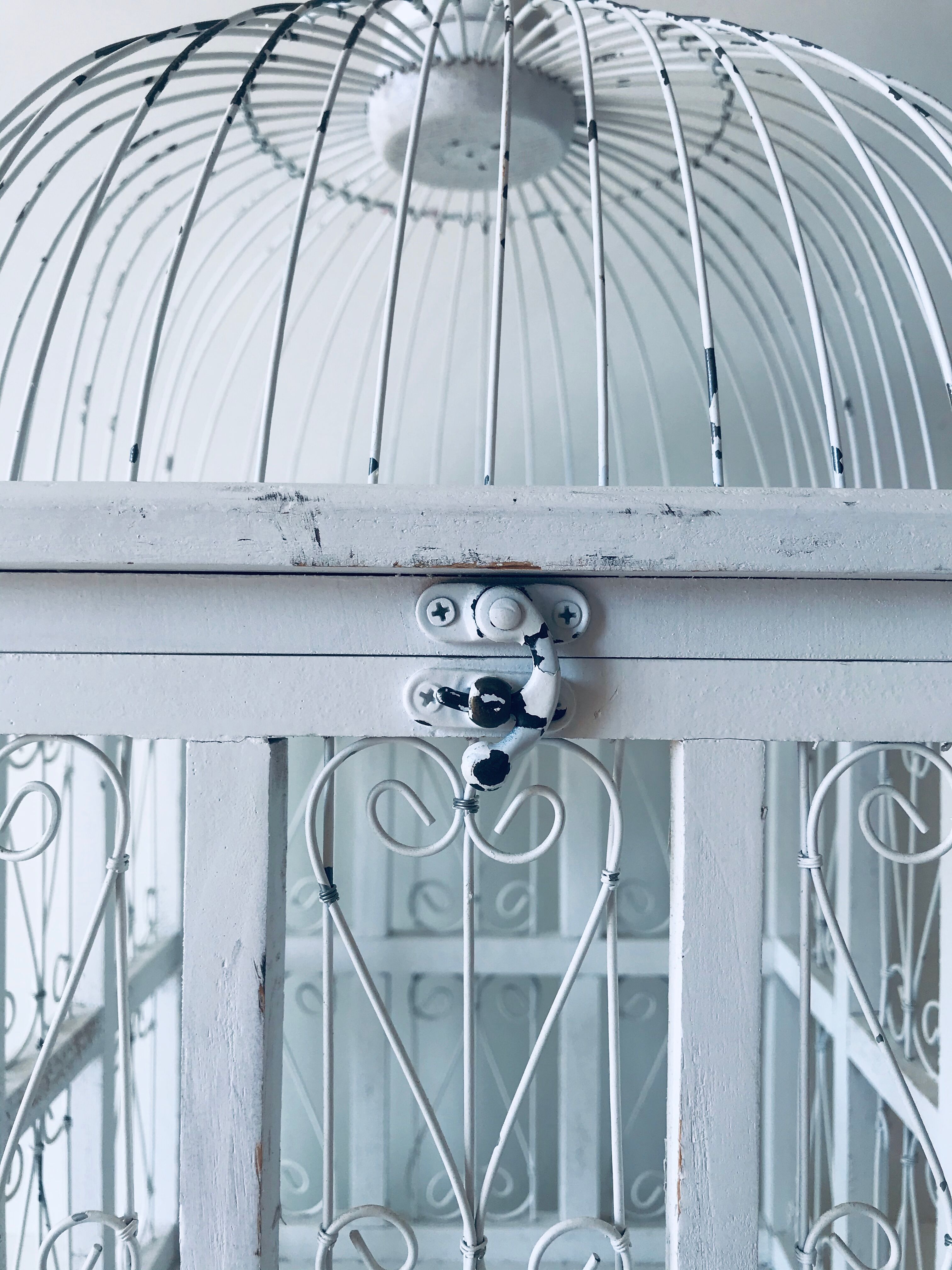Cage à oiseaux blanche