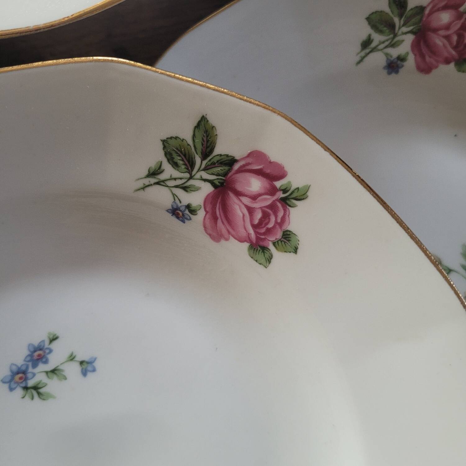 10 Limoges Porcelain Pans Plates – Circa 1915