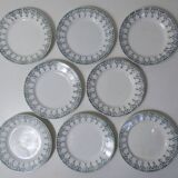 iron earth 8 flat plates