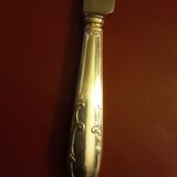 12 large knives ERCUIS