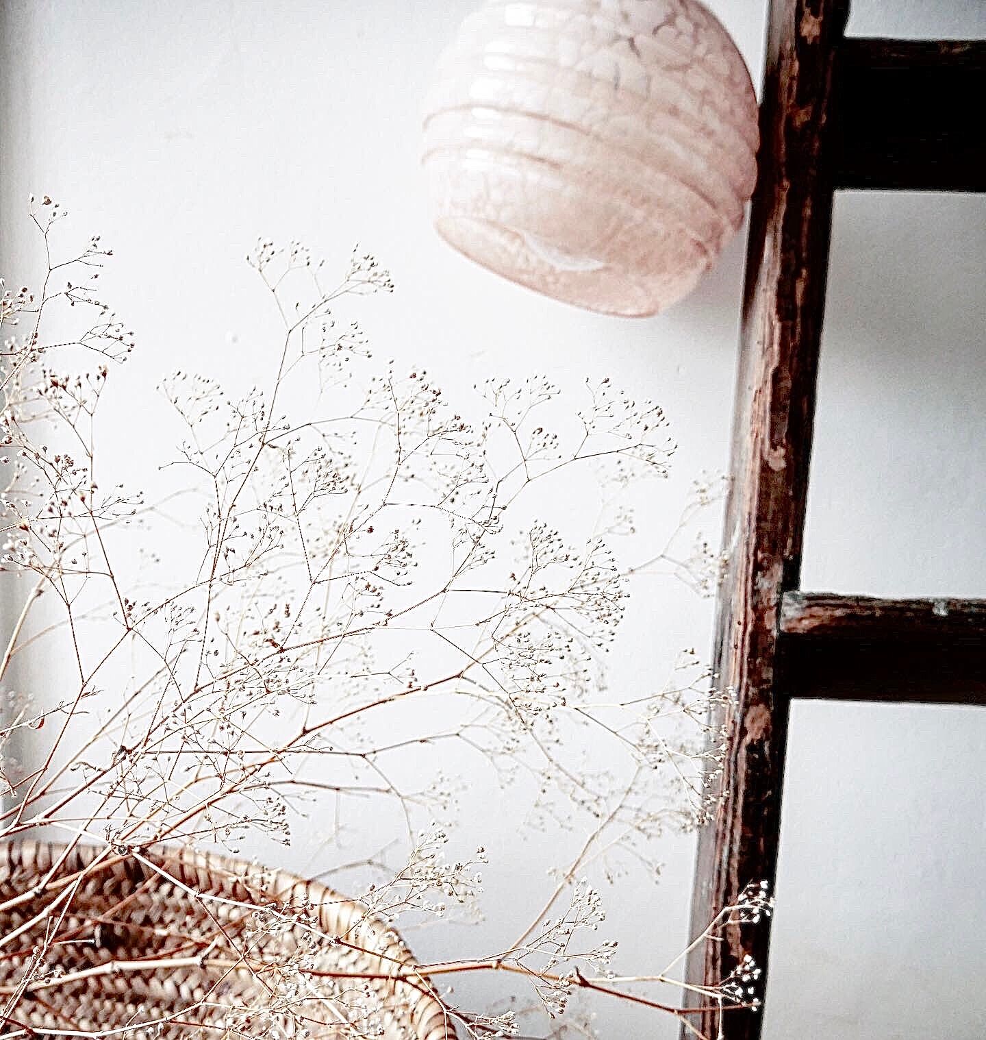 Pink clichy glass stroller