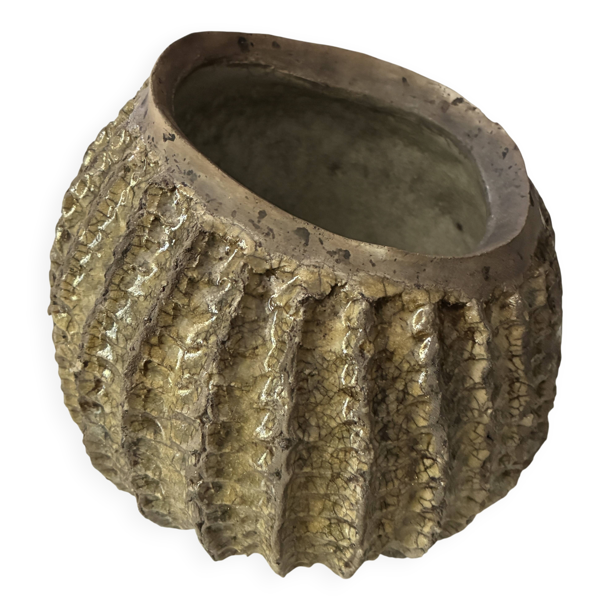 Cache pot oursin Raku