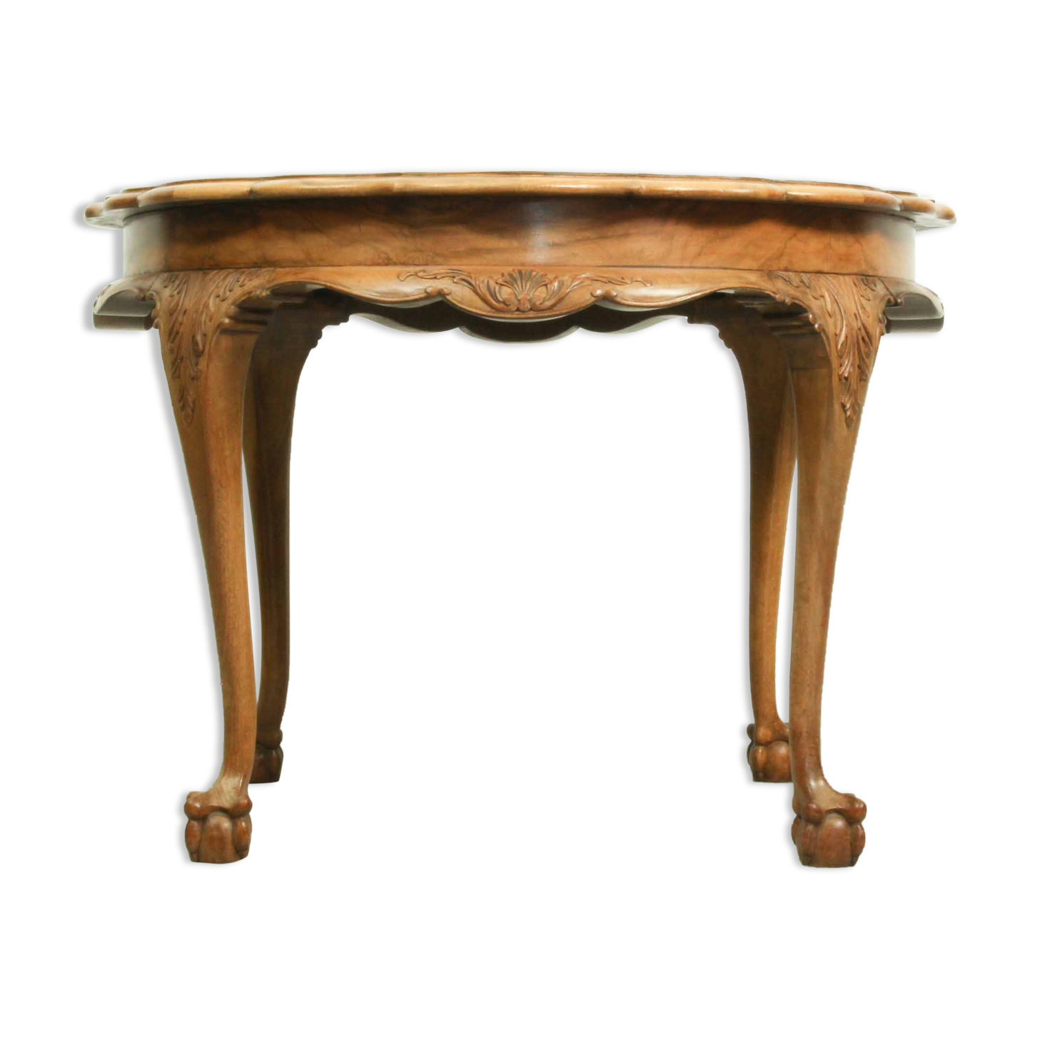 Coffee table in Baroque style, mid century, with claw foot legs, burl wood scalloped top