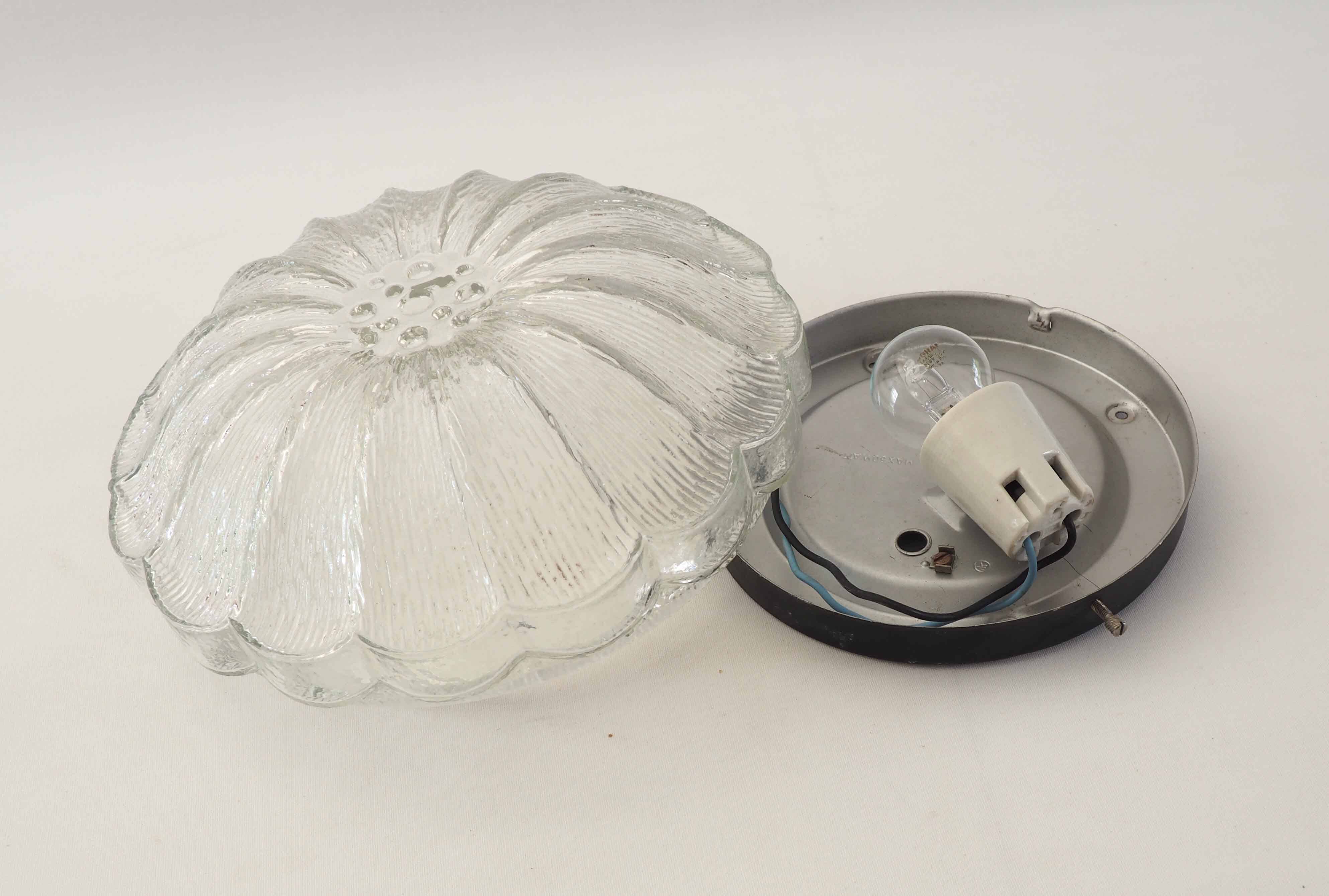 Applique plafonnier verre oursin
