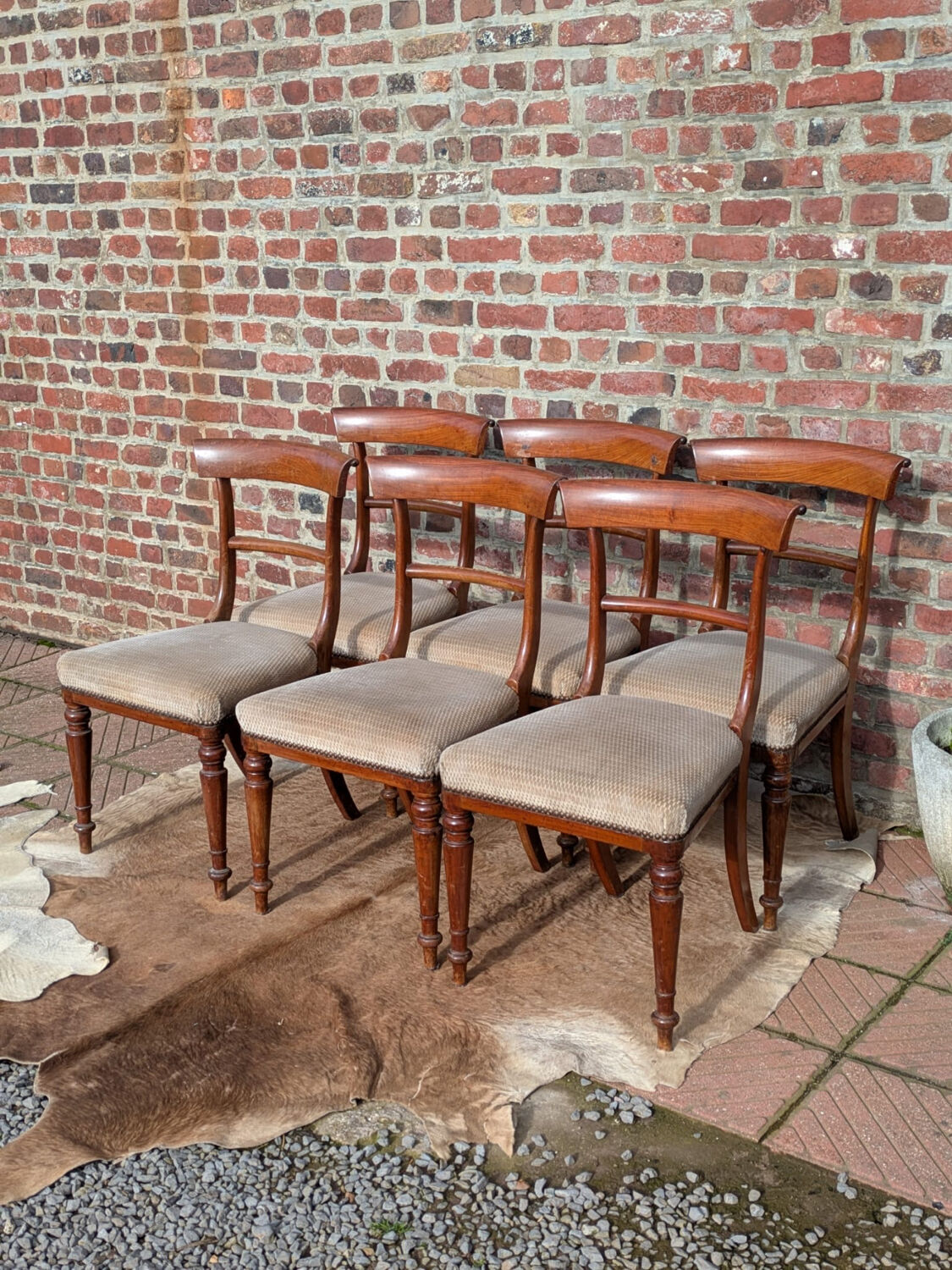 Set of mahogany chairs