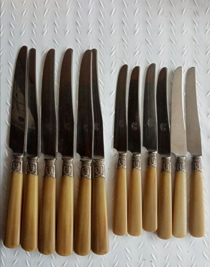 12 Old horn knives and stainless steel blades, Laurier decorative virole