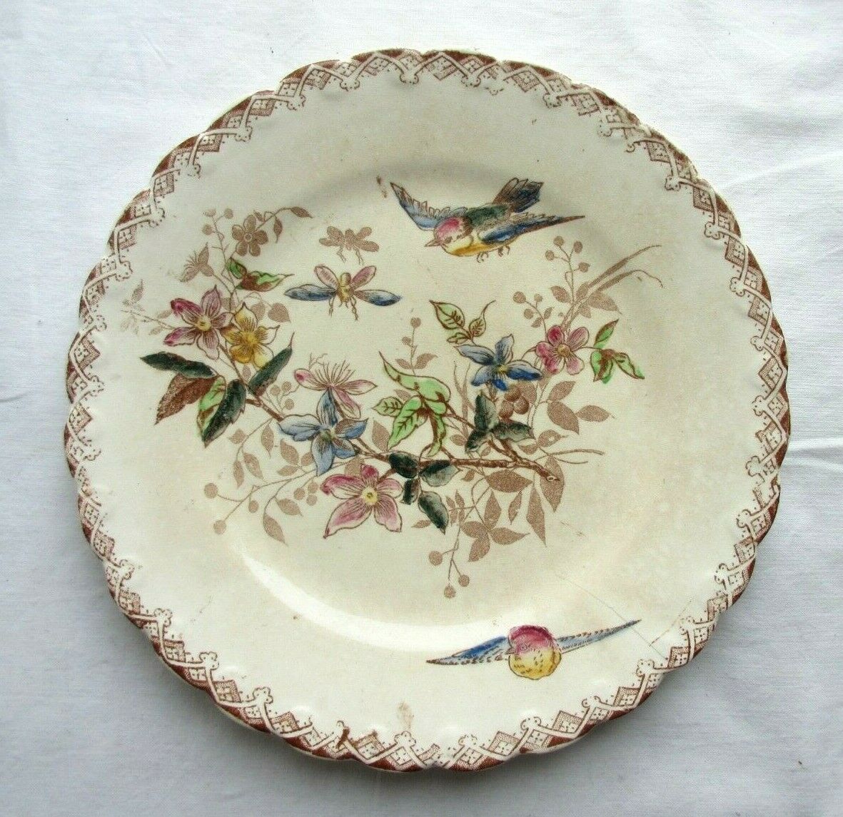Polychrome dessert plate signed onnaing, birds, butterflies and flowers
