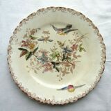 Polychrome dessert plate signed onnaing, birds, butterflies and flowers