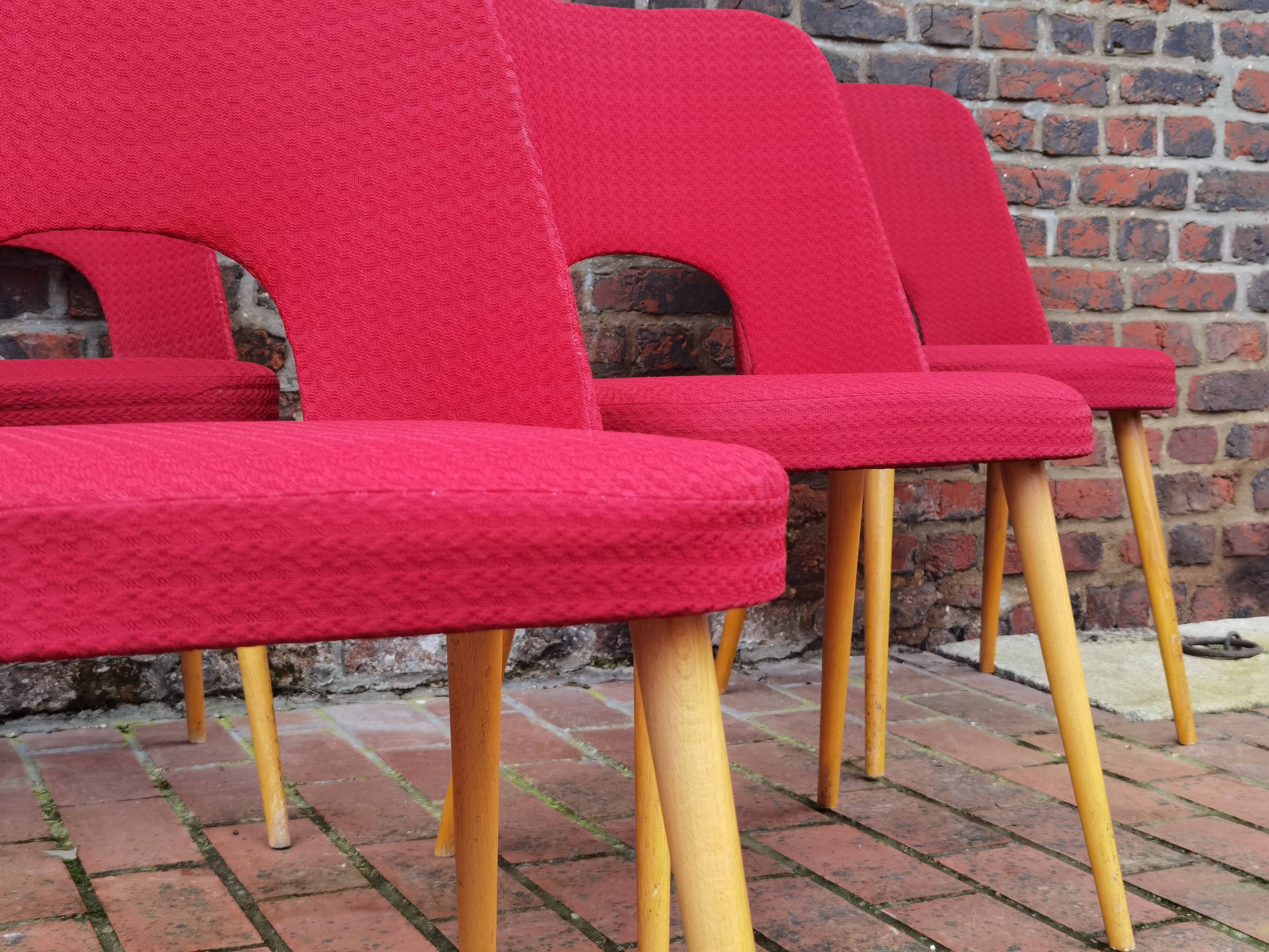 Lot of 6 Oswald Haerdtl chairs for Ton