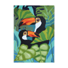 Illustration toucanitos