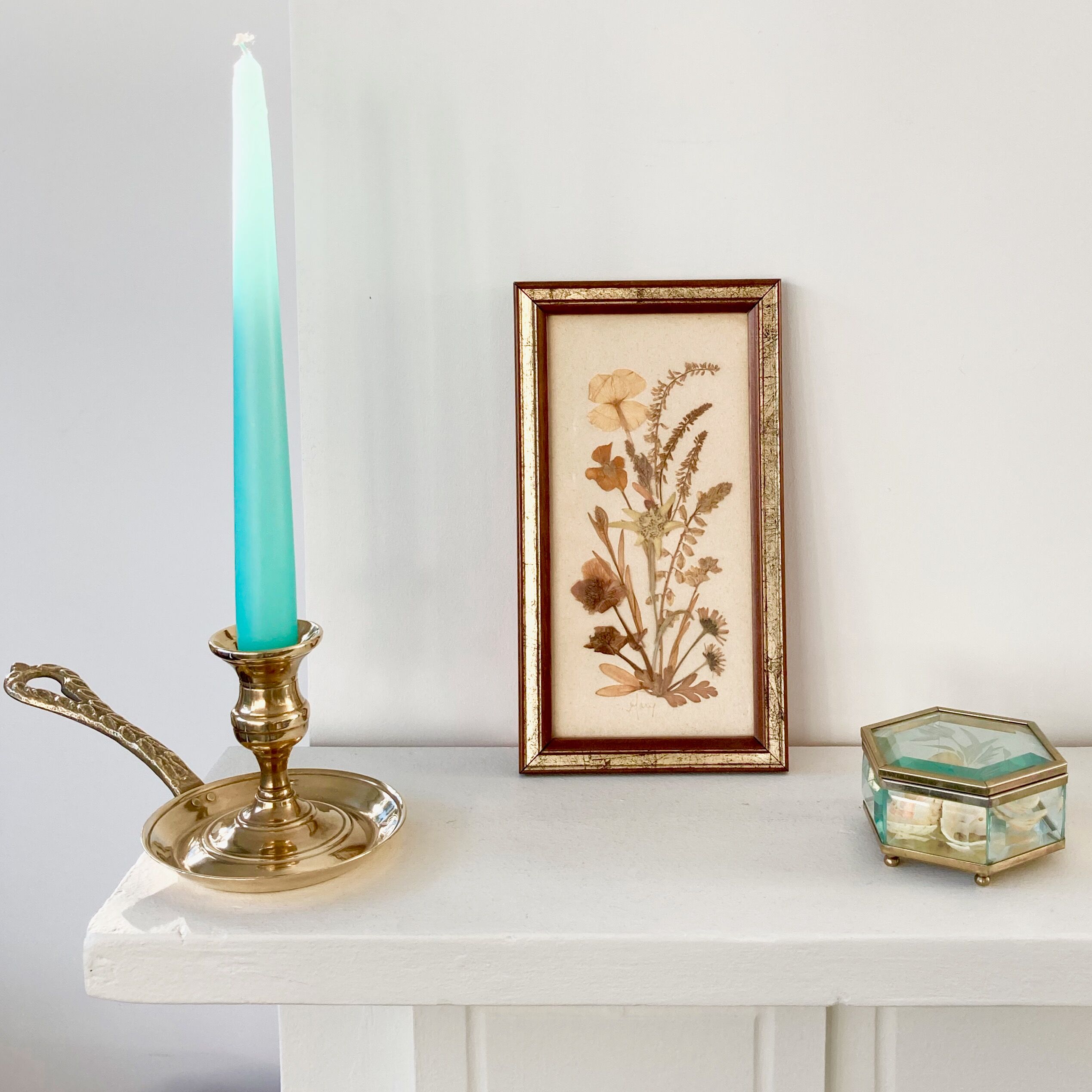 Botanical herbarium framed
