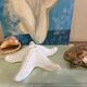 Porcelain wall lamp starfish design