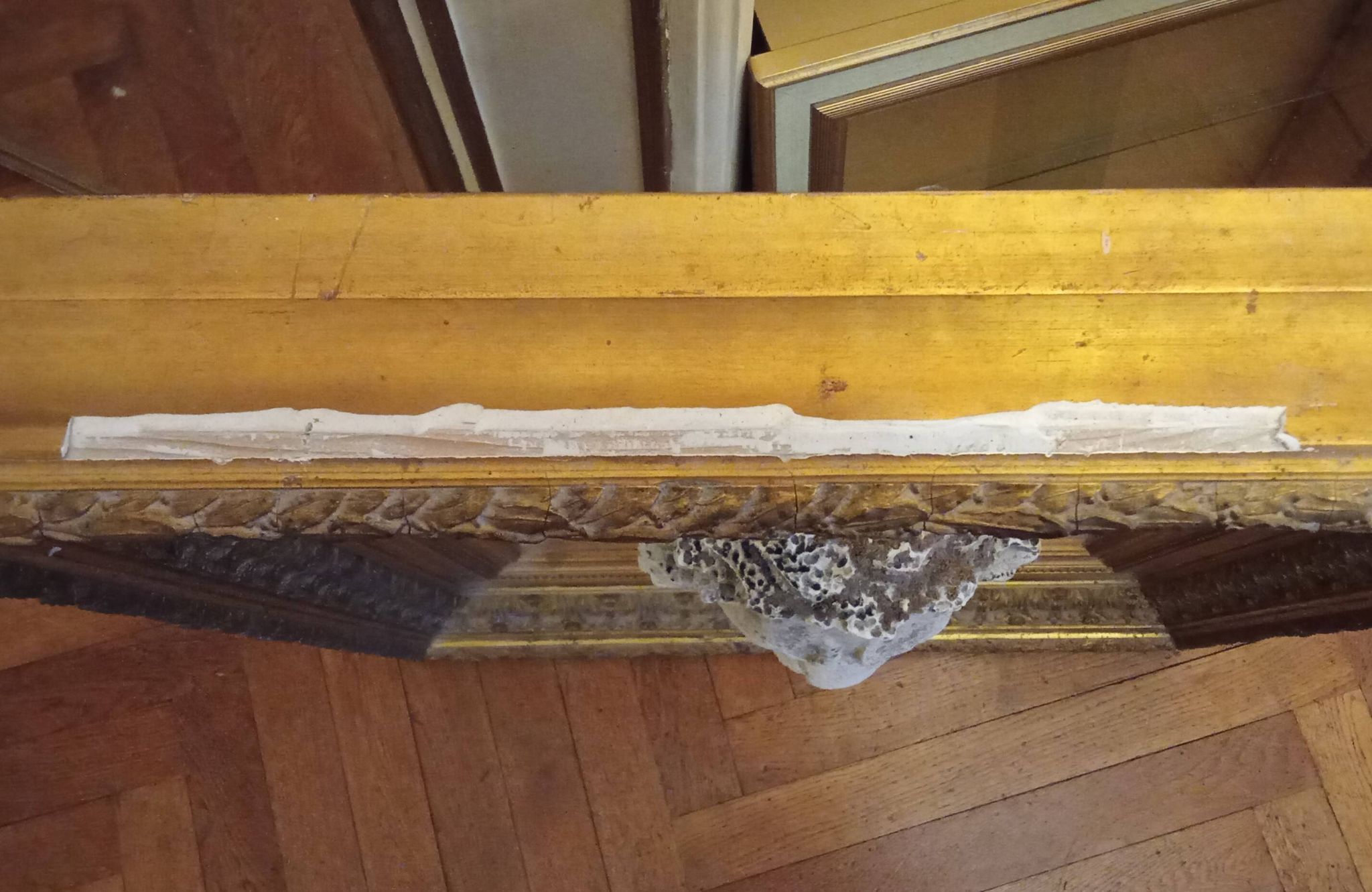 Ancien cadre doré ornement tête de lion sur plexiglas