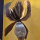 Henri Fernandez Floral Floor Lamp in Gold Metal