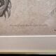 Old Print Engraving 19th Century Study of an Ear Sketch After Raphael Pasquier