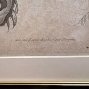 Old Print Engraving 19th Century Study of an Ear Sketch After Raphael Pasquier